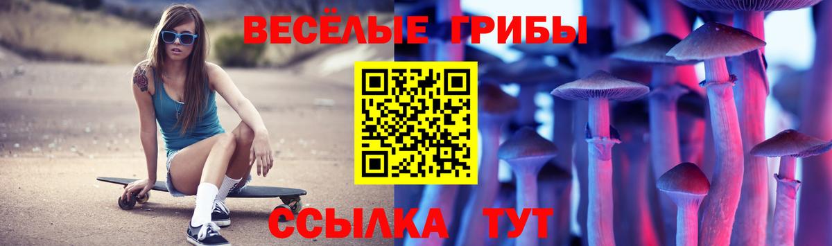 Псилоцибиновые грибы Саров